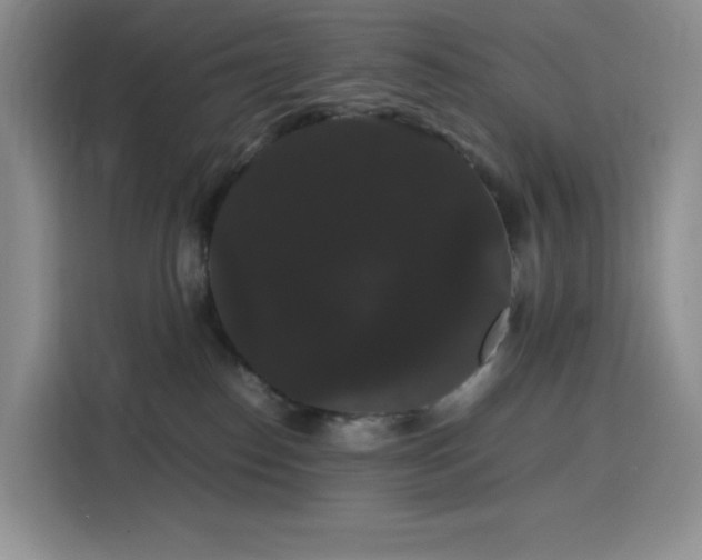 X0000116120186200911231222