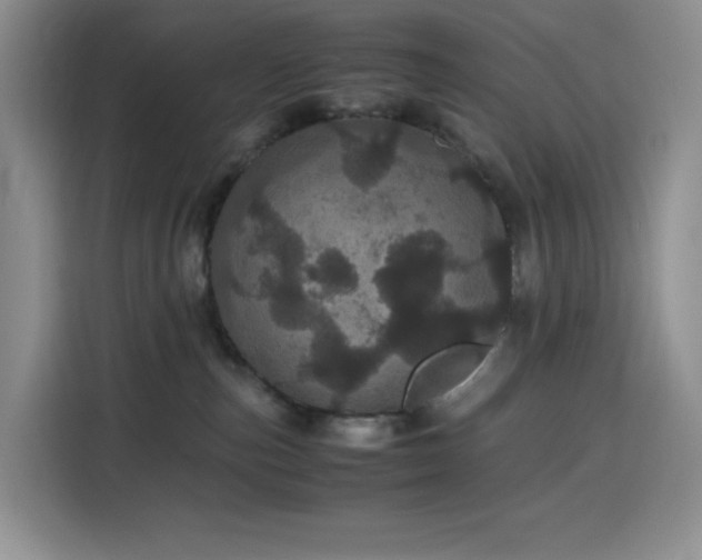 X0000116120187200911231222