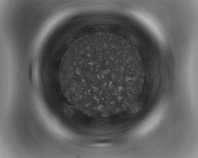 X0000116120189200911231222