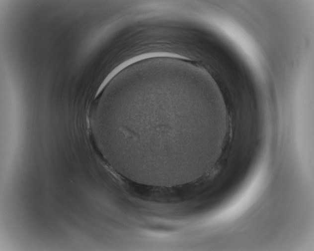 X0000116120190200911231222