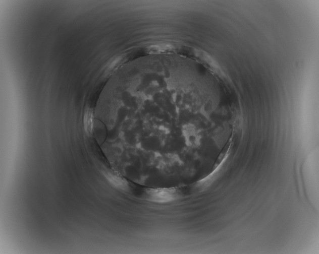 X0000116120191200911231222