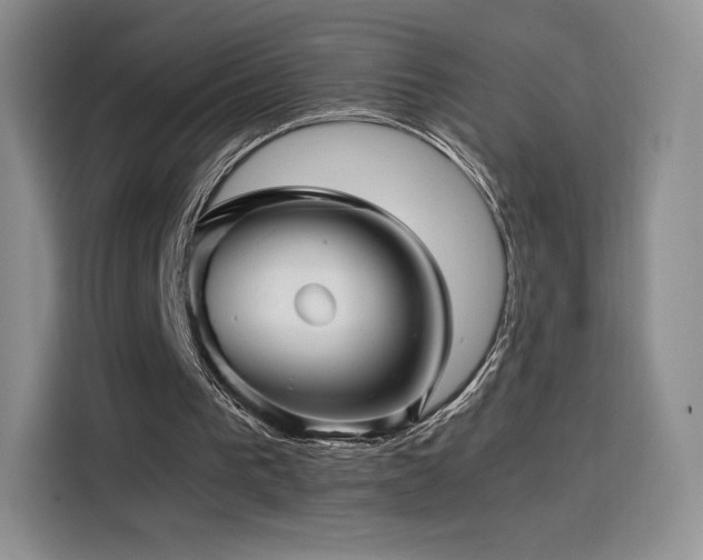 X0000116120193200911231222