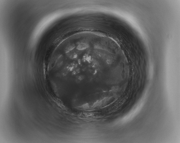 X0000116120194200911231222