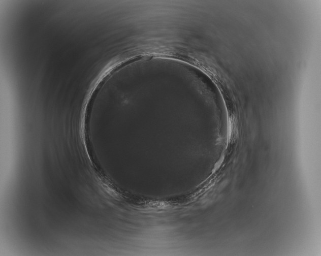 X0000116120195200911231222