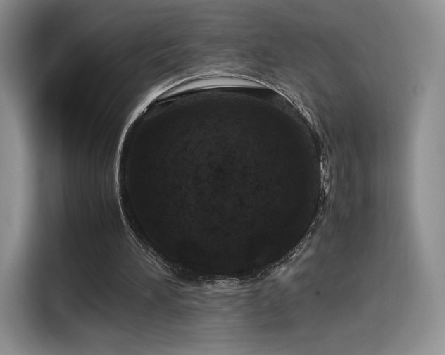 X0000116120196200911231222