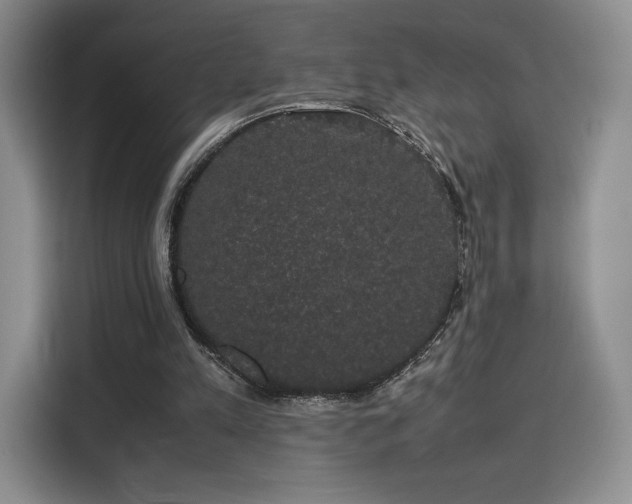 X0000116120197200911231222