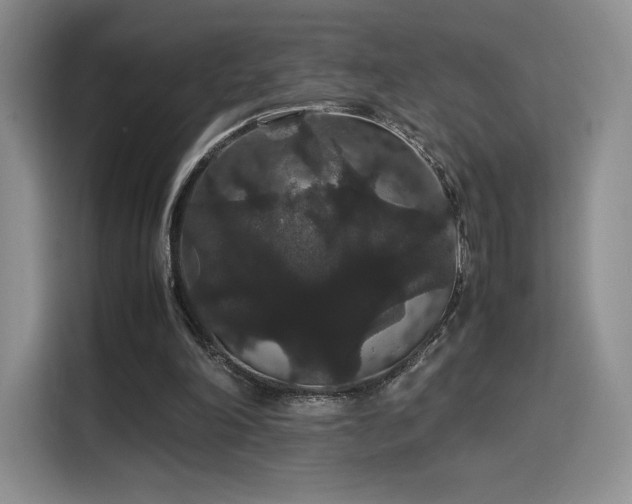 X0000116120198200911231222