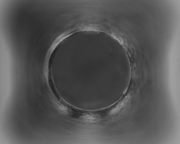 X0000116120199200911231222