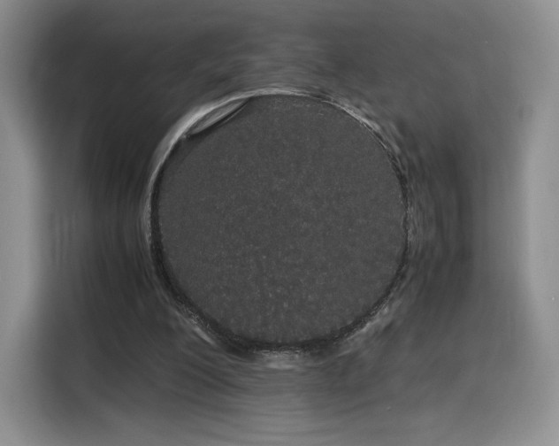 X0000116120200200911231222