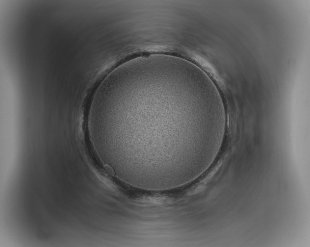 X0000116120201200911231222