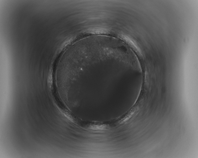 X0000116120202200911231222