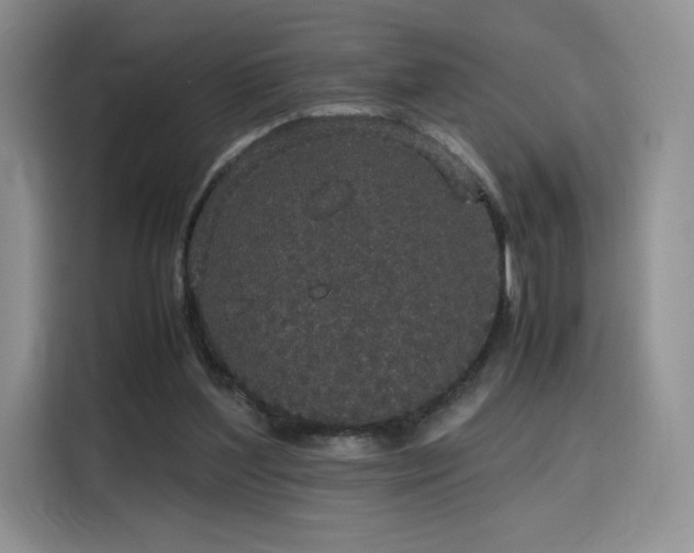 X0000116120204200911231222