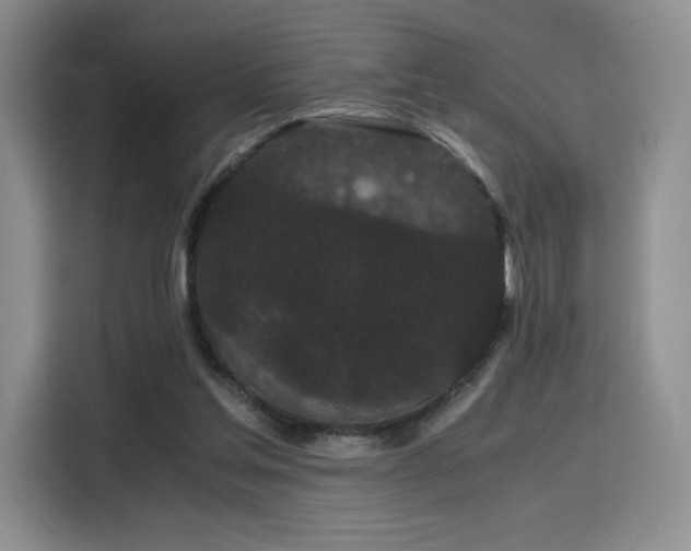 X0000116120205200911231222