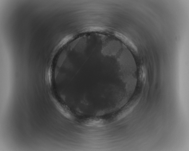 X0000116120206200911231222