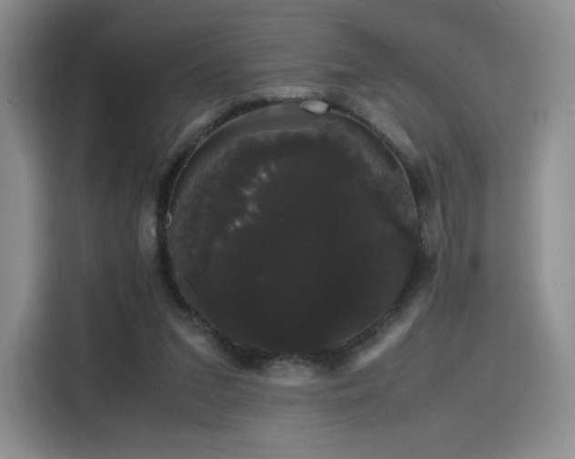 X0000116120207200911231222