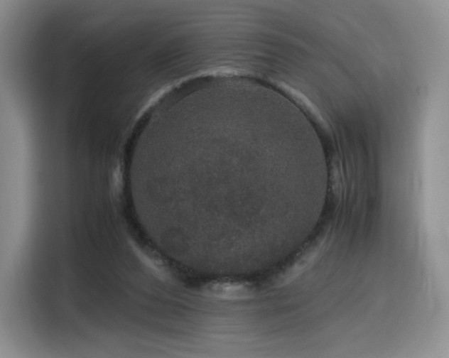 X0000116120208200911231222