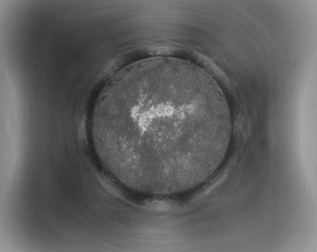 X0000116120209200911231222