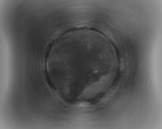 X0000116120210200911231222