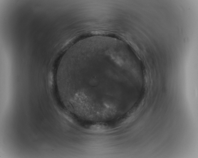 X0000116120211200911231222