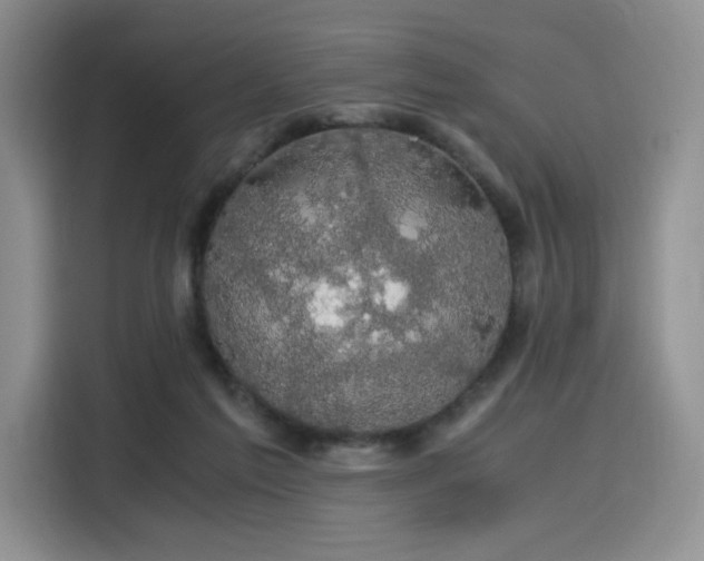 X0000116120213200911231222