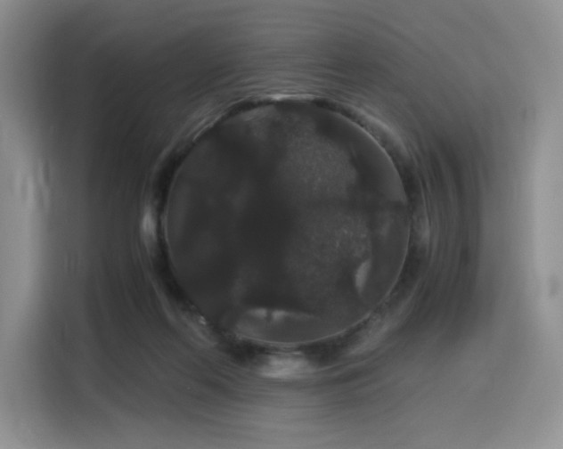 X0000116120214200911231222