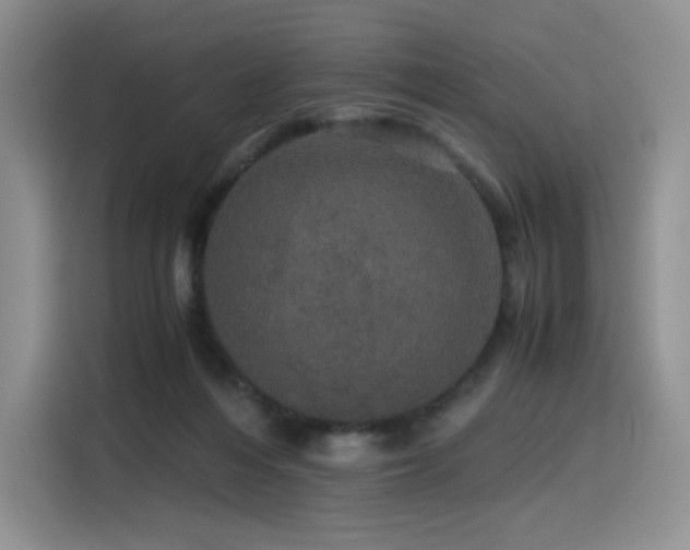 X0000116120216200911231222