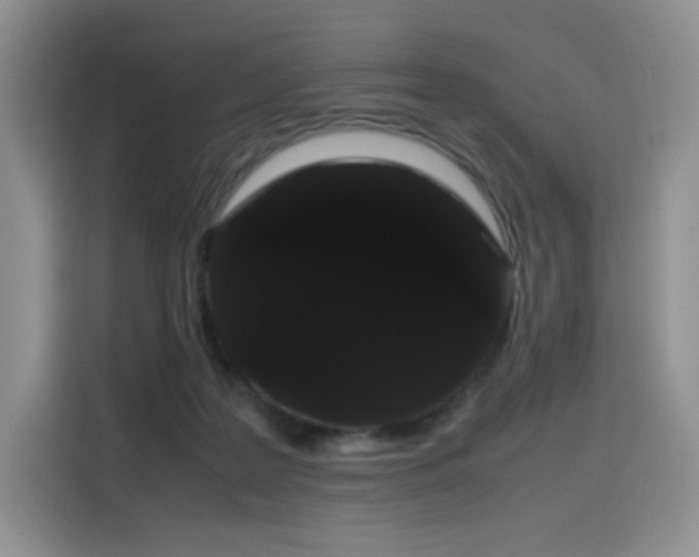 X0000116120219200911231221