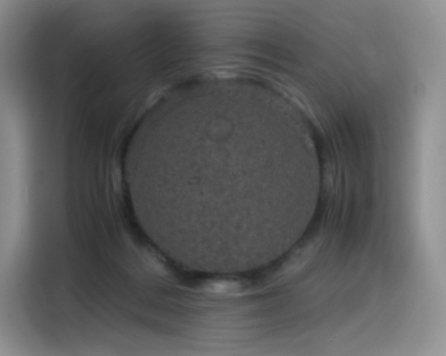 X0000116120220200911231221