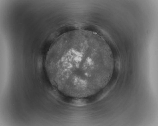 X0000116120221200911231221