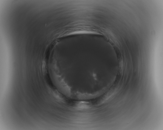 X0000116120222200911231221