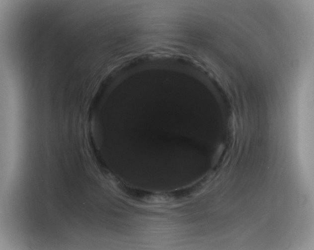 X0000116120223200911231221