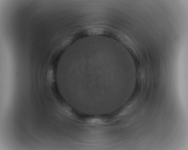 X0000116120224200911231221