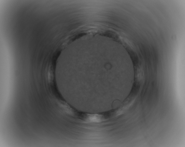 X0000116120226200911231221