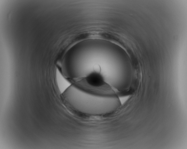 X0000116120227200911231221