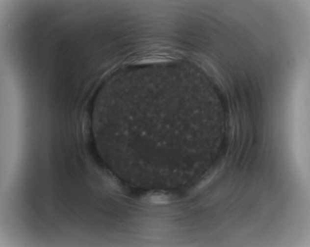 X0000116120228200911231221