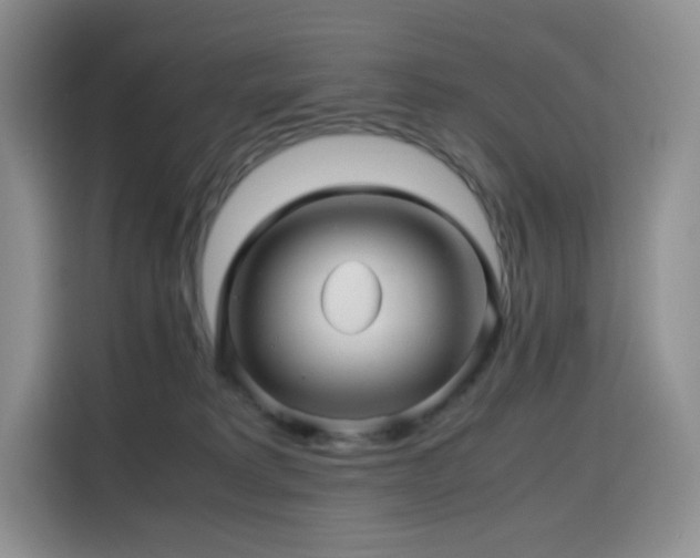 X0000116120229200911231221