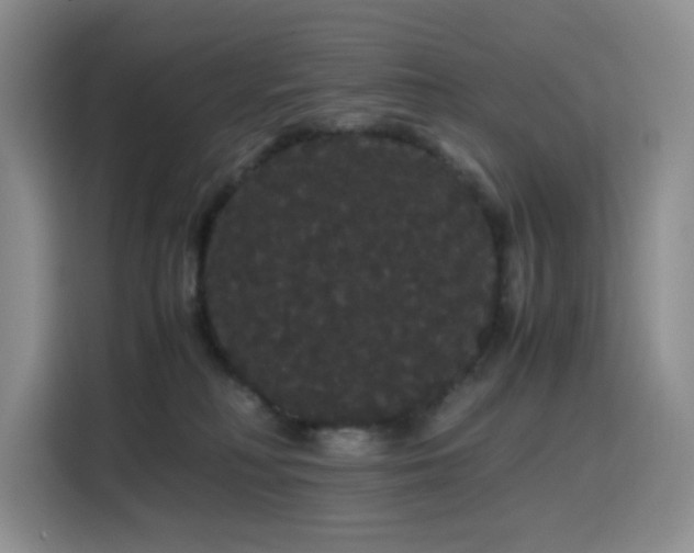 X0000116120230200911231221