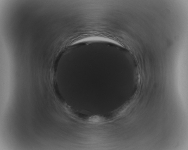 X0000116120231200911231221