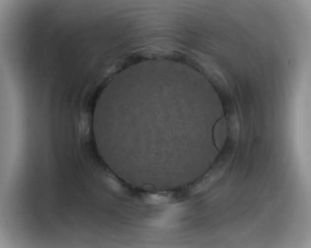 X0000116120232200911231221