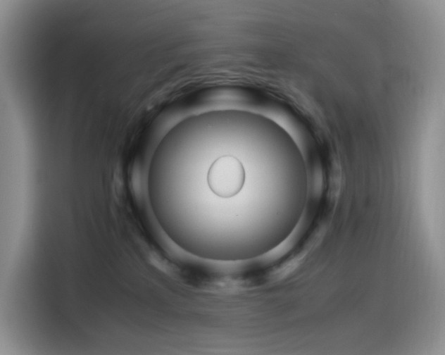 X0000116120233200911231221