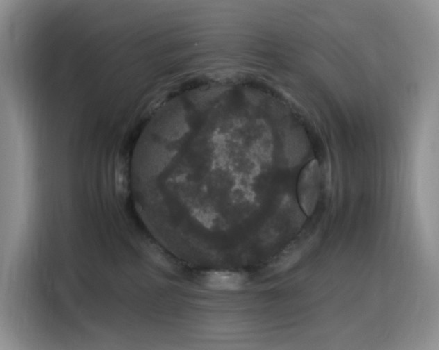 X0000116120234200911231221