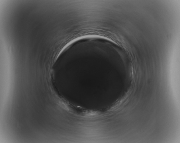 X0000116120235200911231221