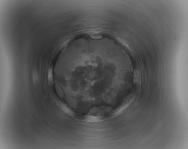 X0000116120238200911231221