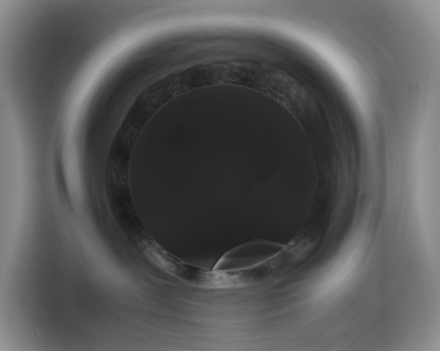 X0000116120239200911231221