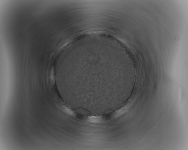 X0000116120240200911231221