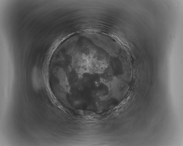 X0000116120241200911231221