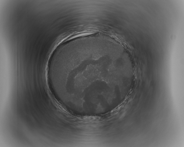 X0000116120242200911231221