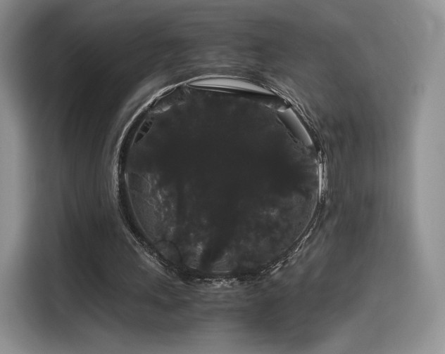 X0000116120243200911231221