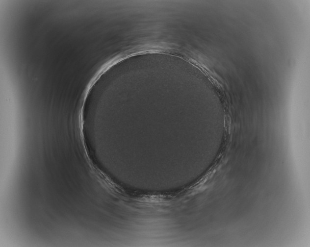 X0000116120244200911231221