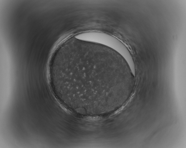 X0000116120245200911231221